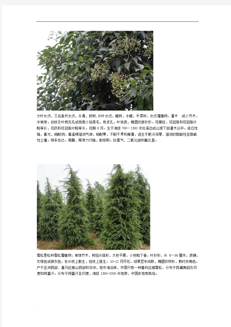 常见的20种植物