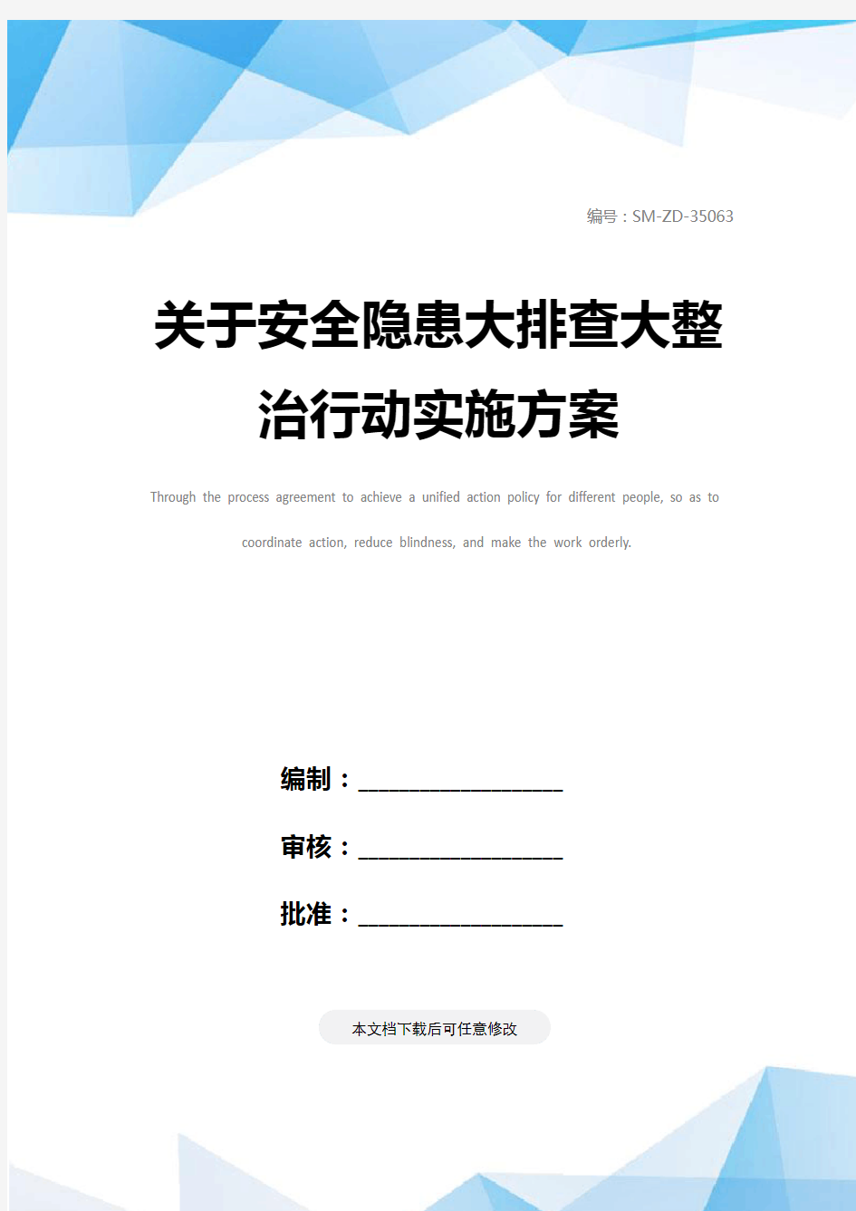 关于安全隐患大排查大整治行动实施方案