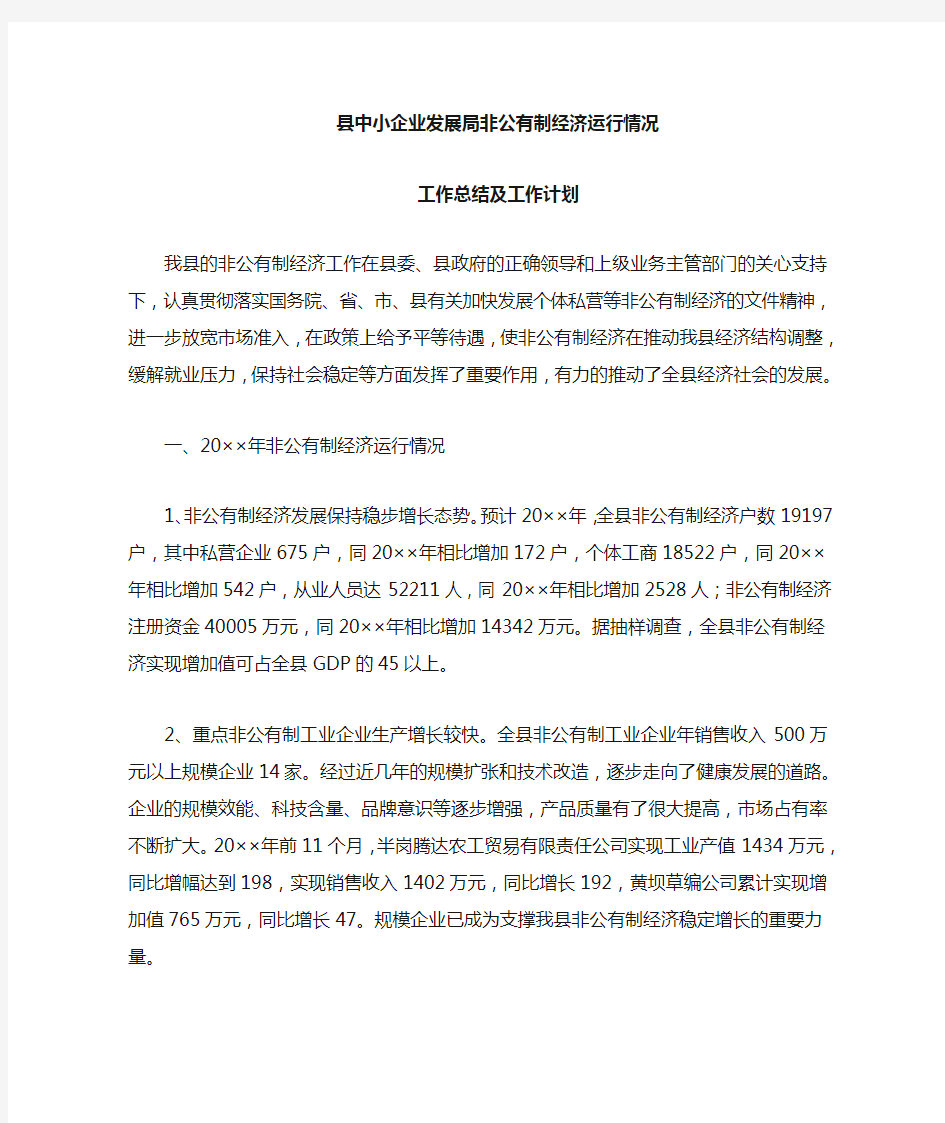 非公有制经济工作总结及计划