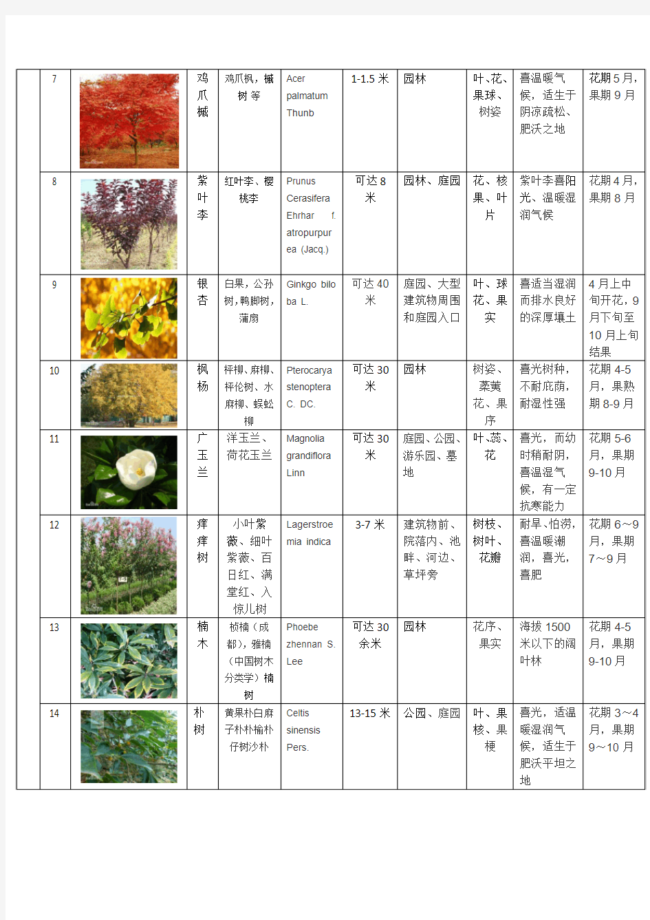 校园植物分类介绍