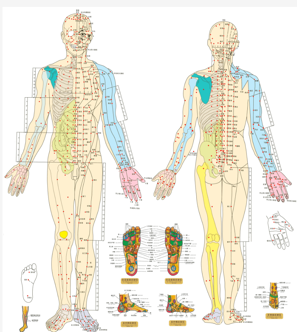 人体穴位图高清大图