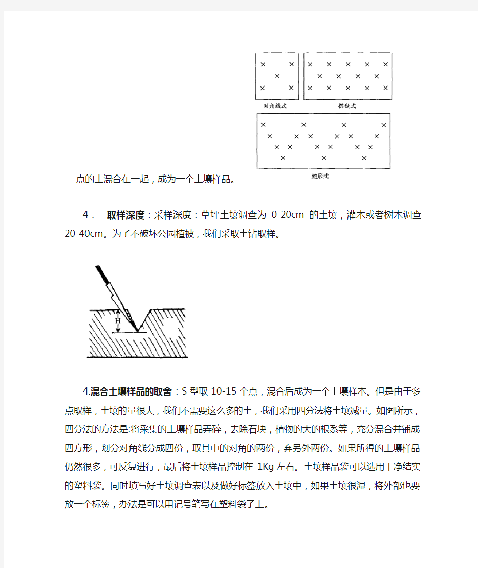 土壤样品的采集