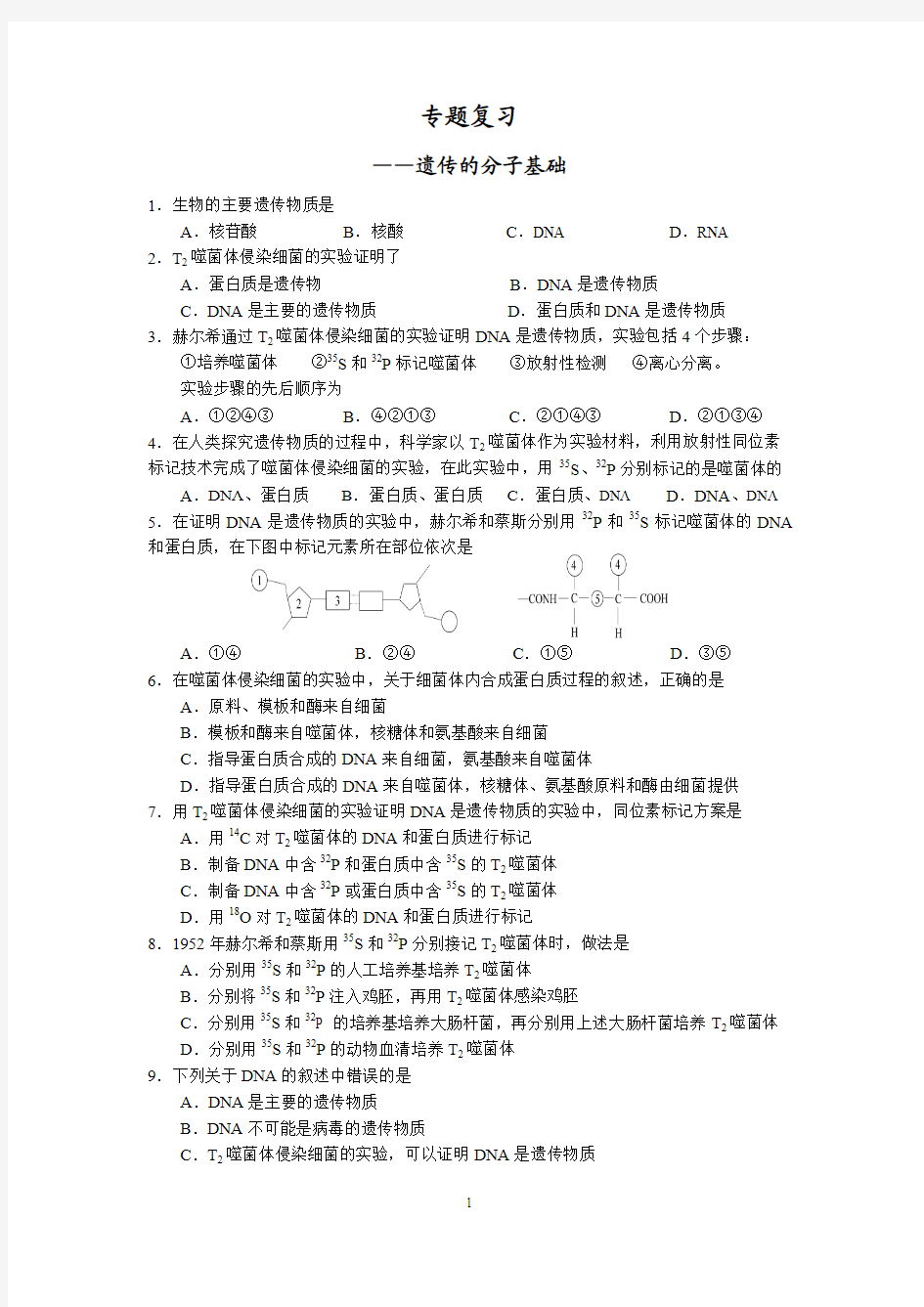 遗传的分子基础专题测验卷