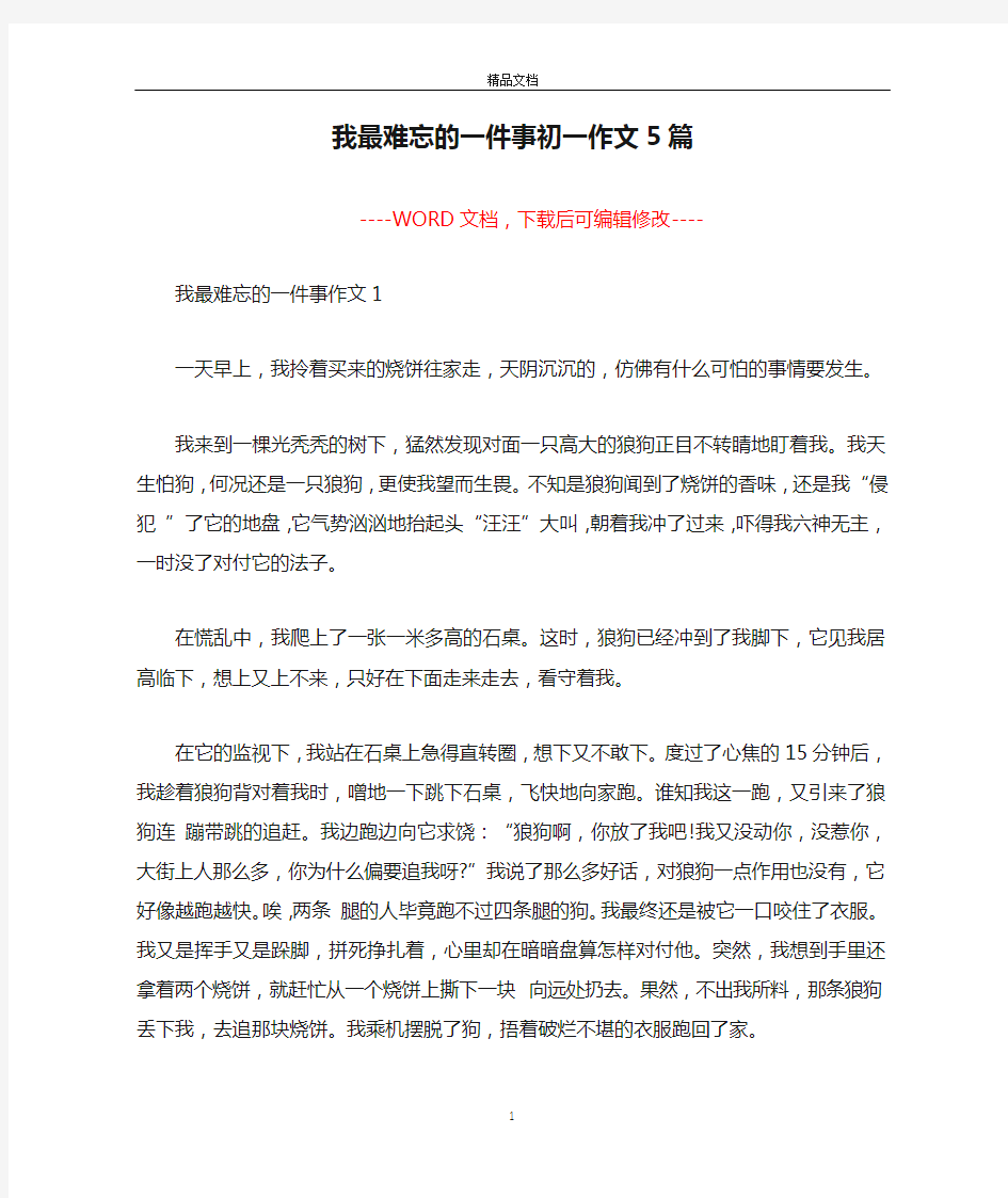 我最难忘的一件事初一作文5篇