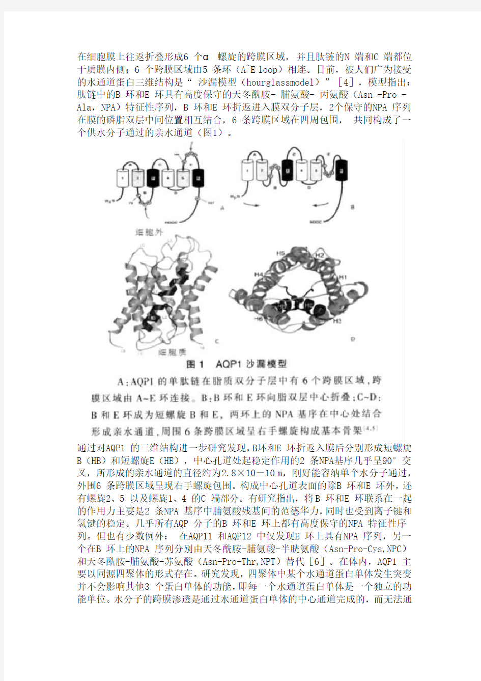水通道蛋白的基本结构与特异性通透机理王晶桑建利北京师范大学