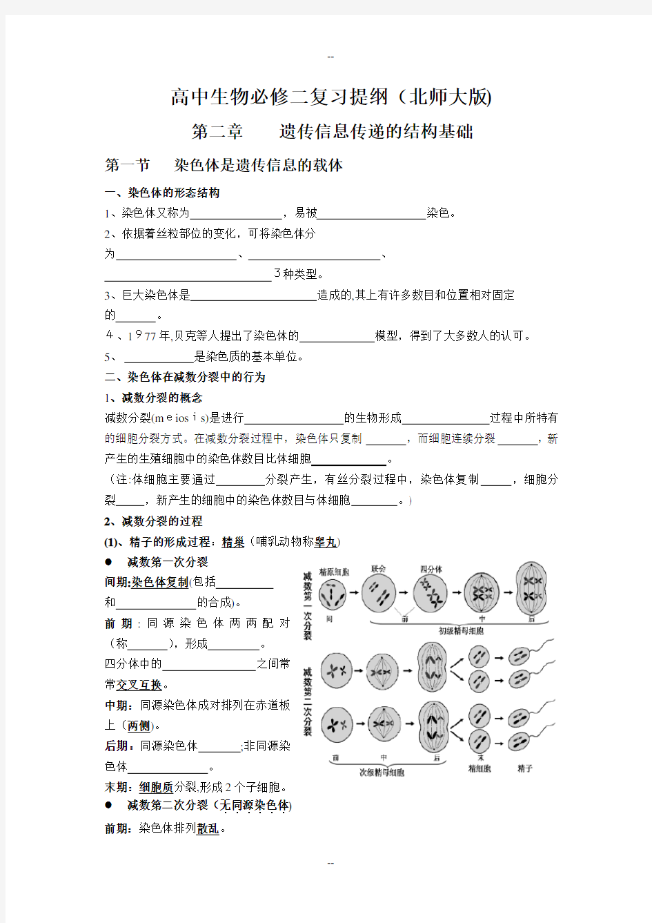 高中生物必修二北师大版复习提纲参照人教版整理