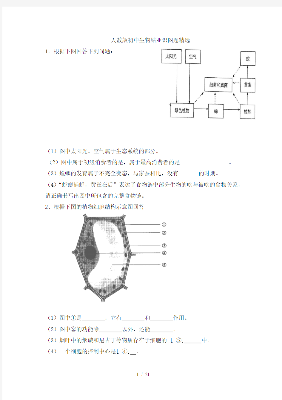 人教版初中生物识图专题(整理版)