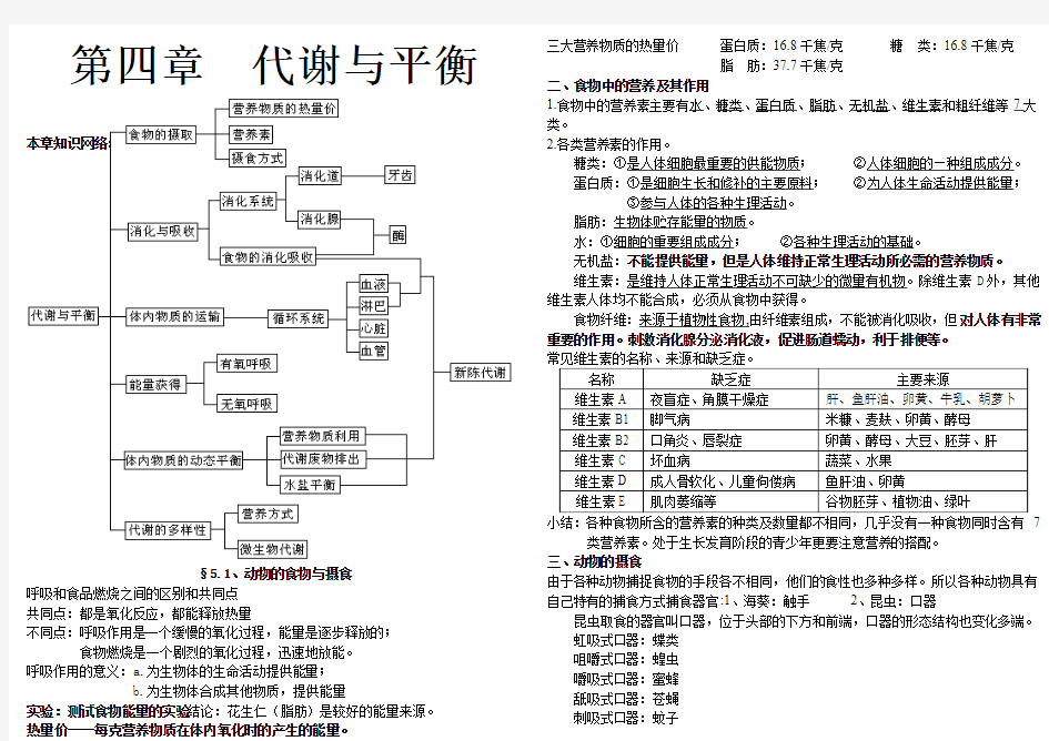 浙教版九年级科学上第四章代谢与平衡复习总结