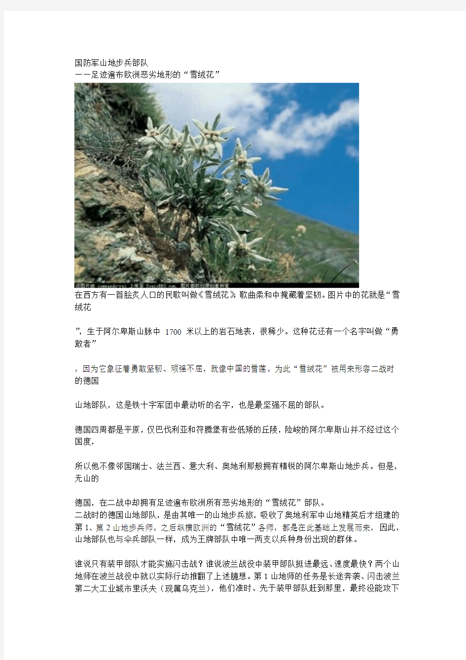 二战德国王牌师国防军山地步兵部队