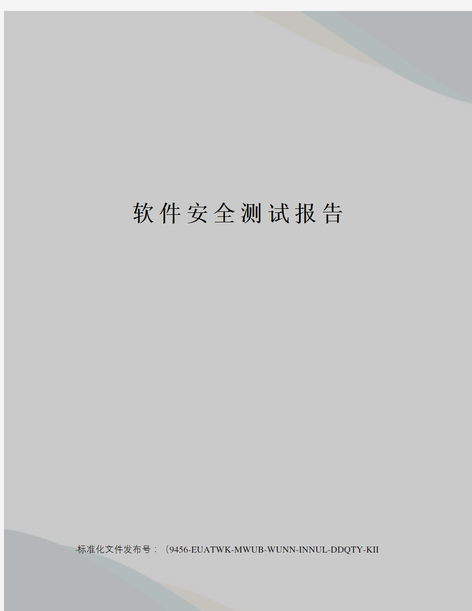 软件安全测试报告