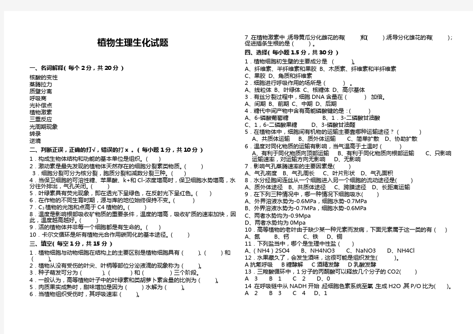 植物生理生化试卷