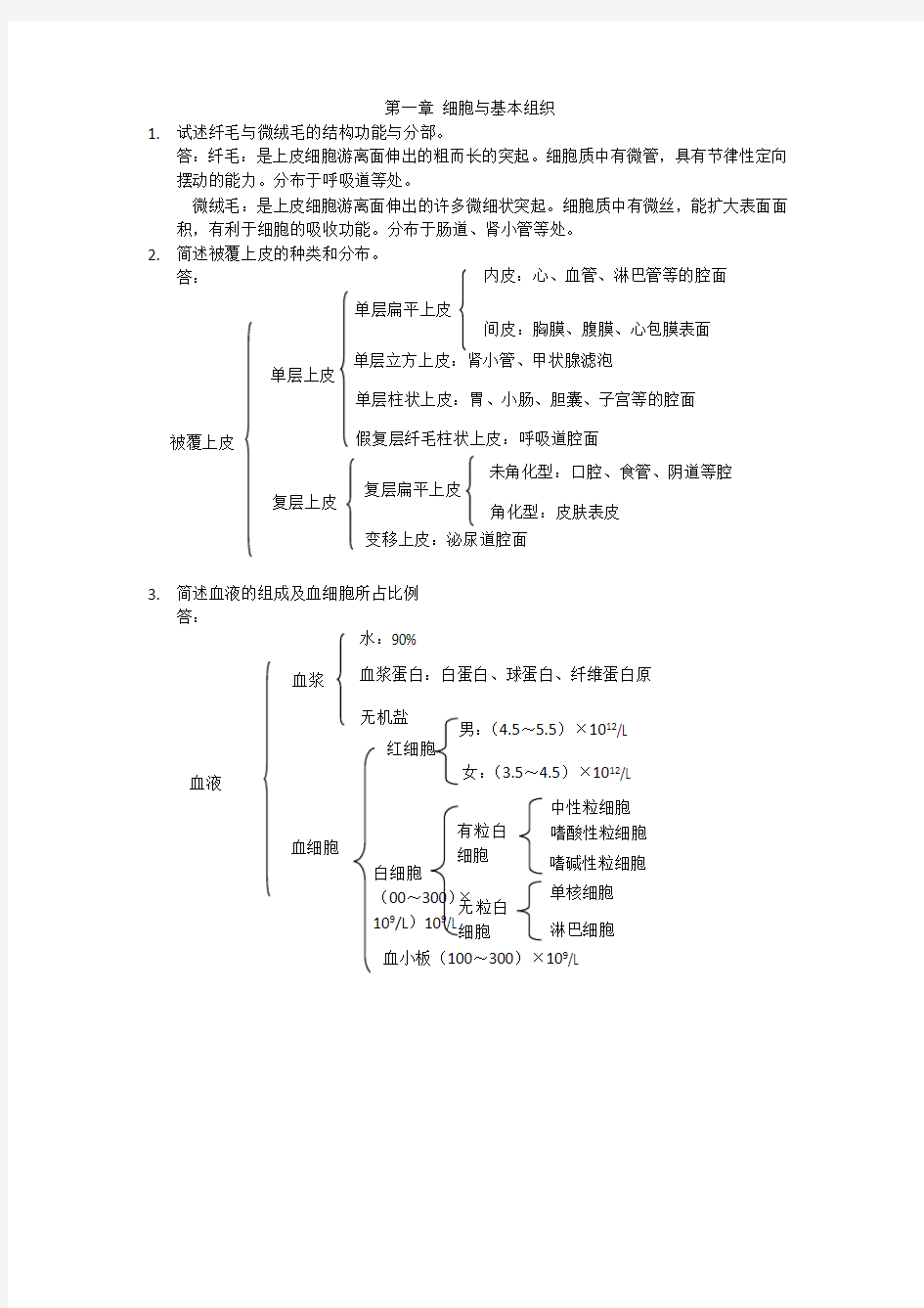 解剖学简答题