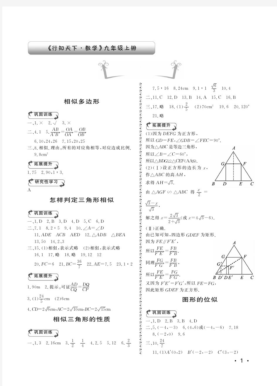 九年级数学  行知天下 答案