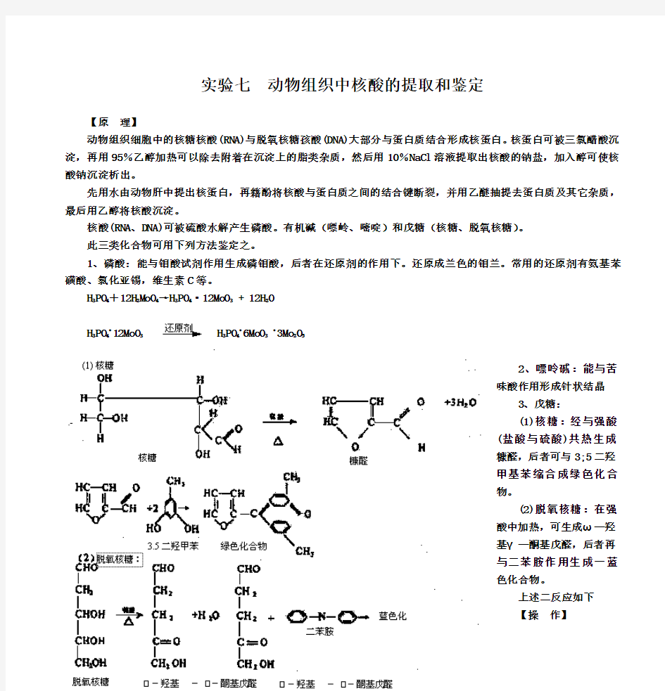 实验九 动物组织中核酸的提取和鉴定