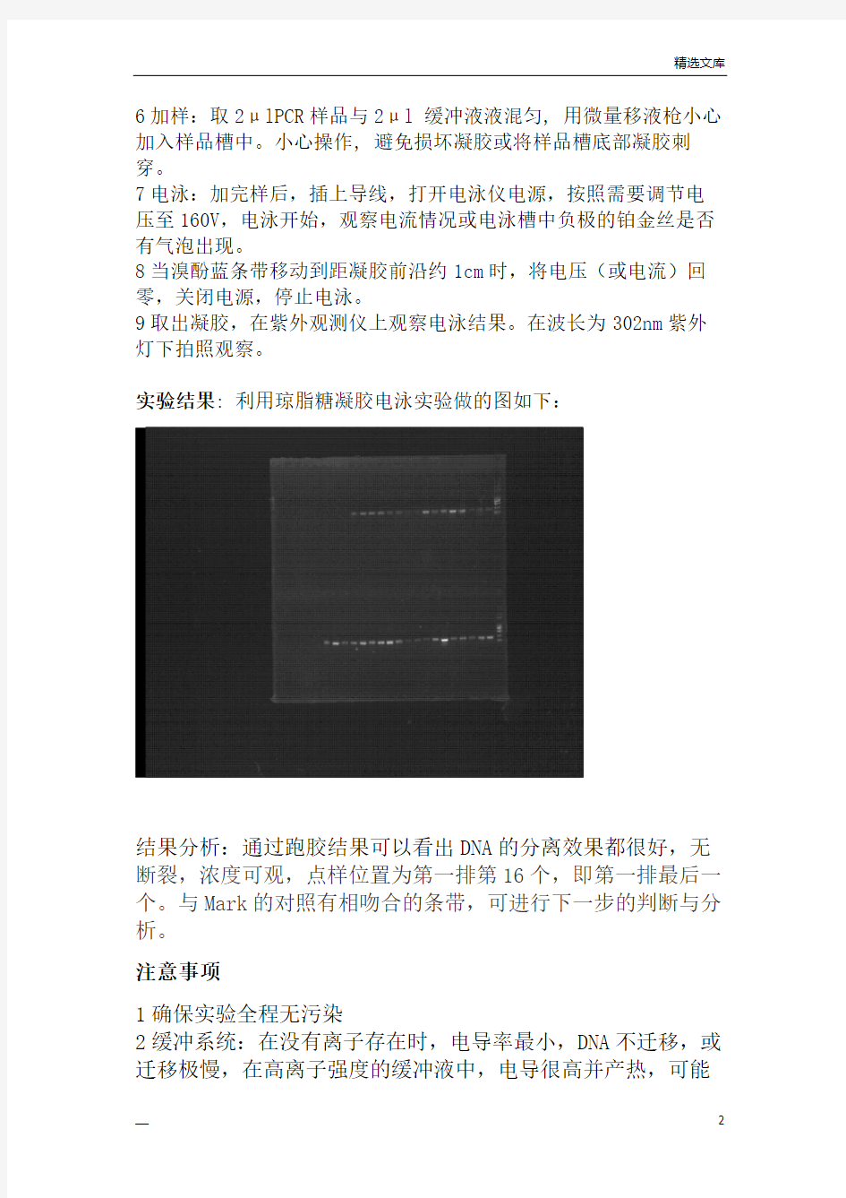 琼脂糖凝胶电泳实验报告