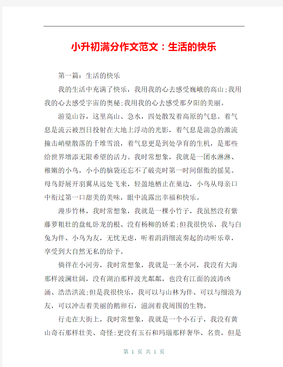 小升初满分作文范文：生活的快乐