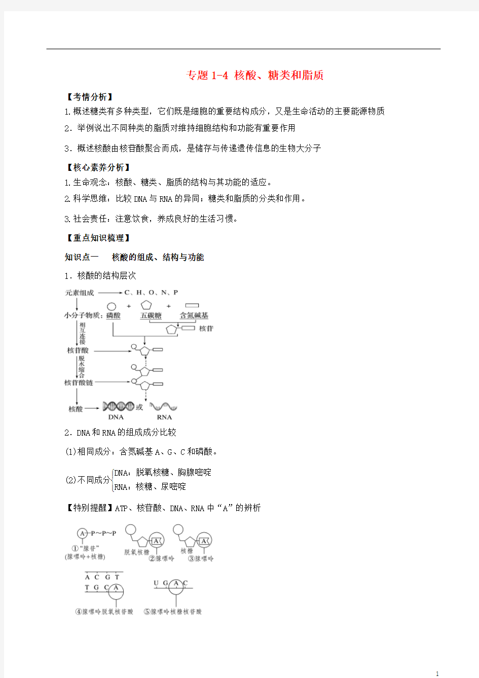 高考生物一轮复习知识点讲解专题1_4核酸糖类和脂质含解析