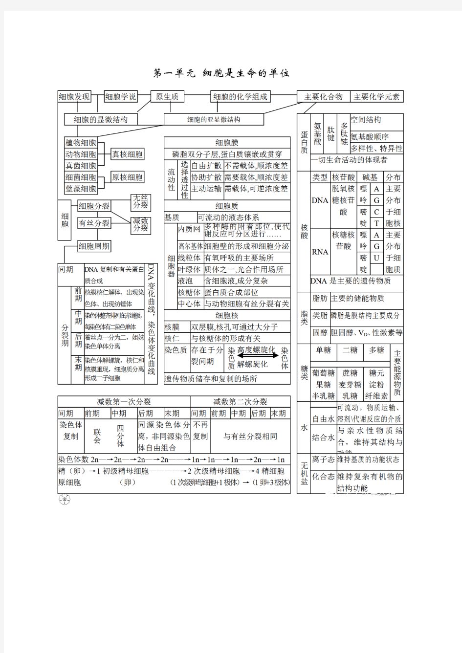 高中生物所有知识点思维导图汇总