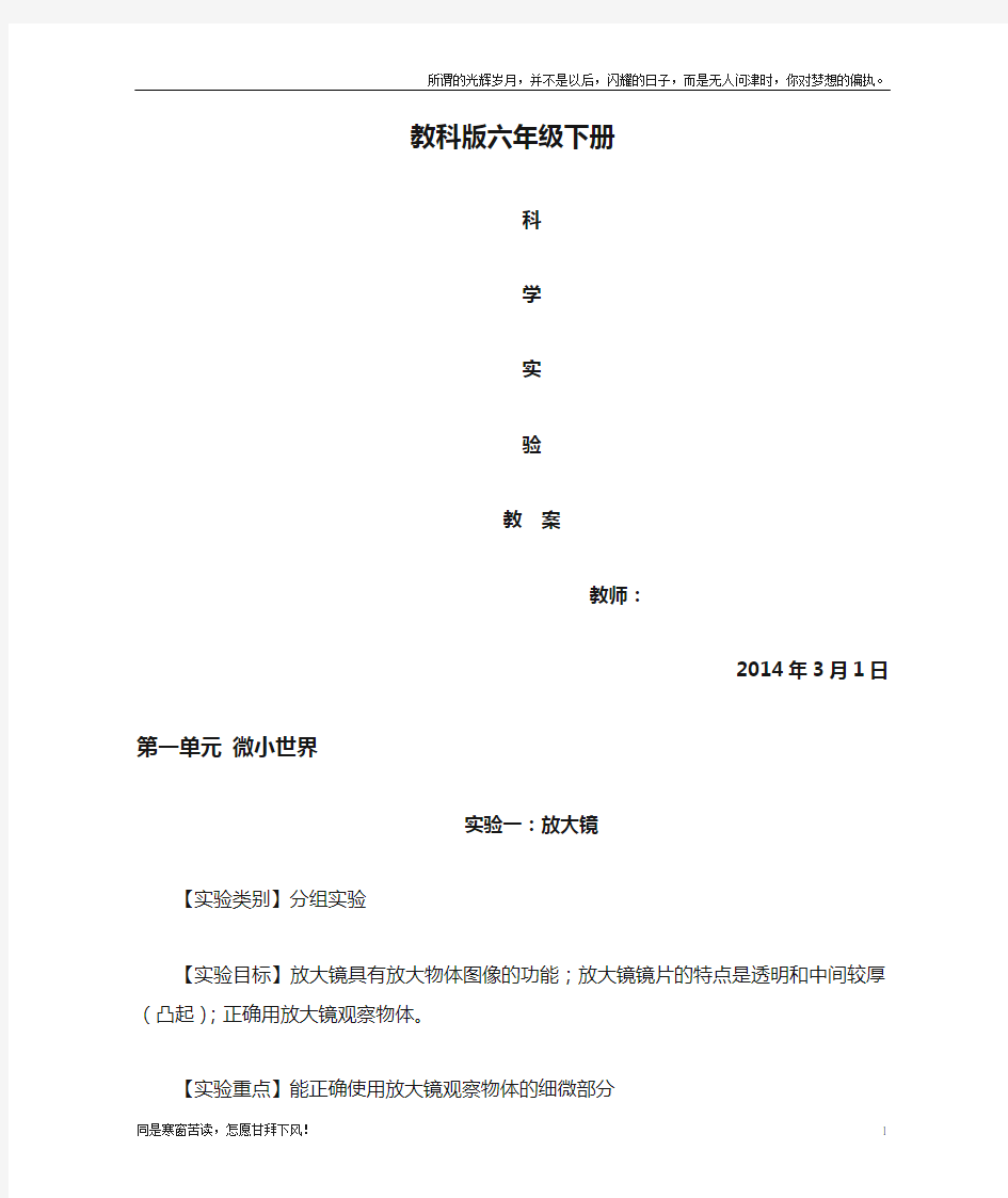 新教科版六年级下册科学实验教案