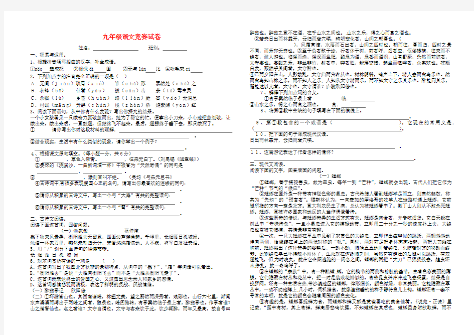 湖南省武冈三中2013届九年级语文下学期竞赛试题 新人教版