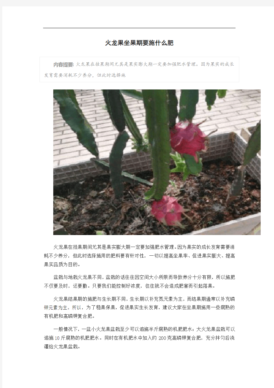 火龙果坐果期要施什么肥