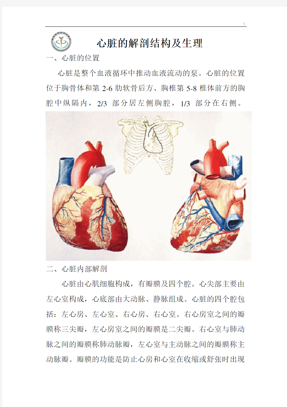 心脏的解剖结构及其生理(含彩图)