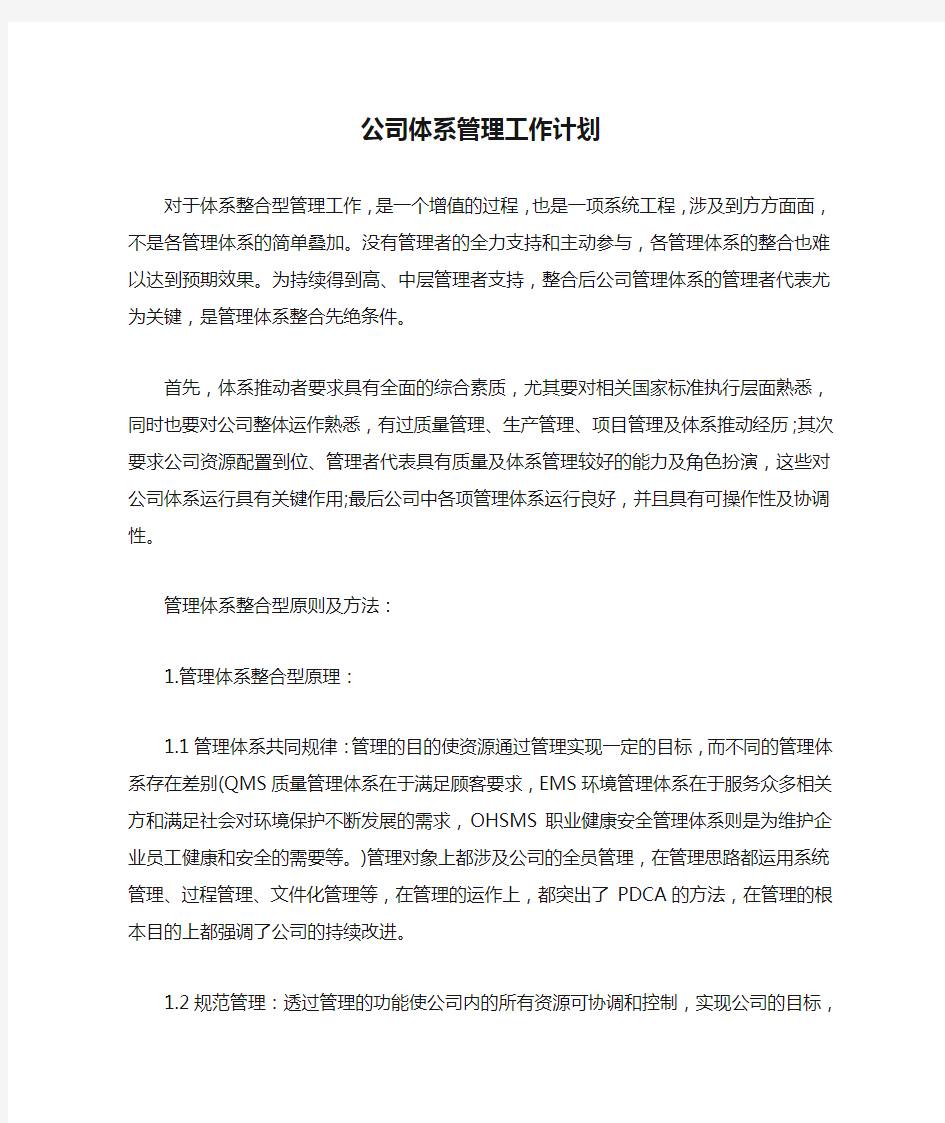 公司体系管理工作计划