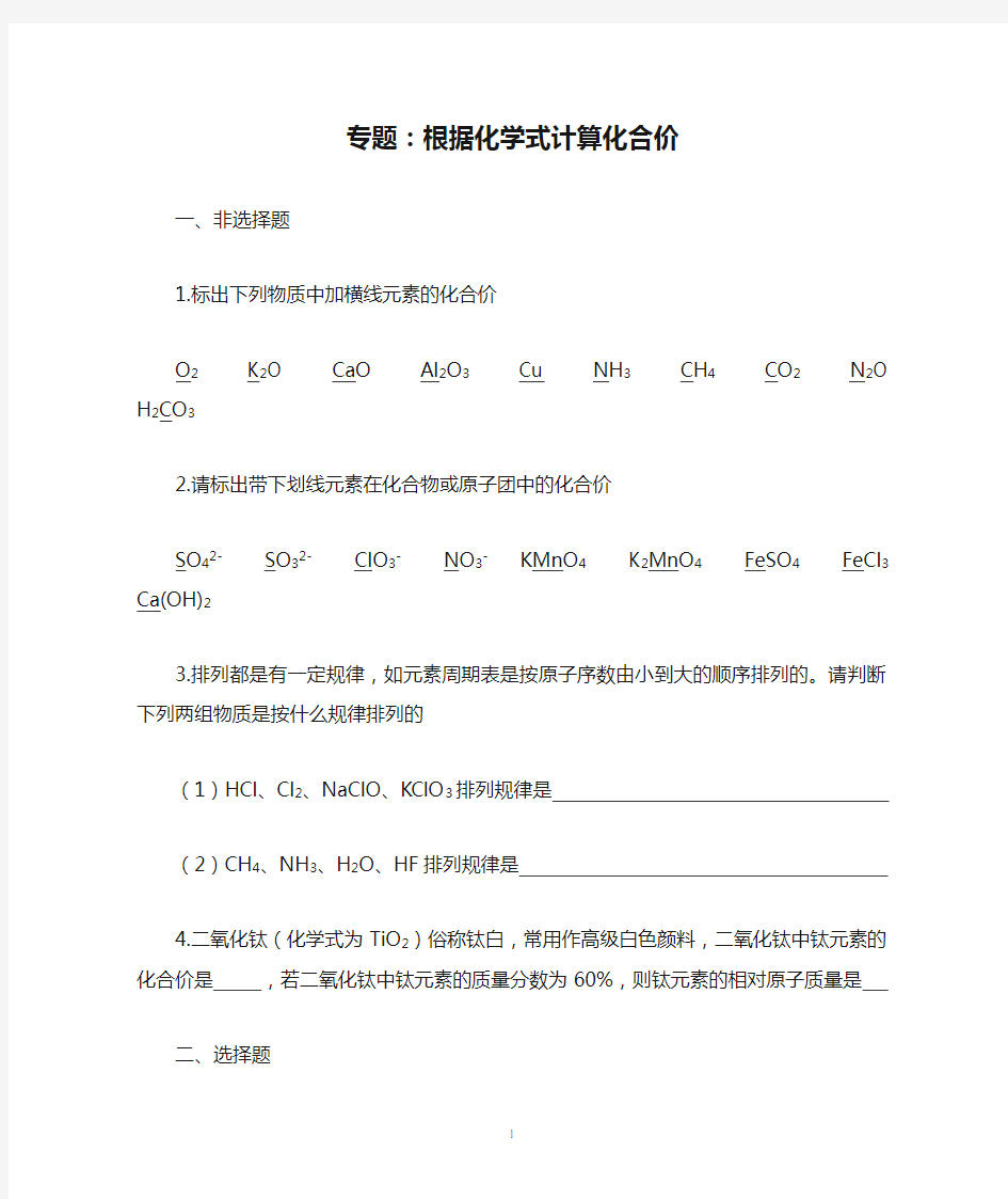 专题：根据化学式计算化合价