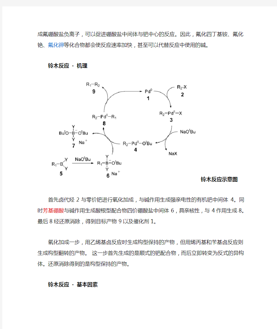 Suzuki反应(铃木反应)