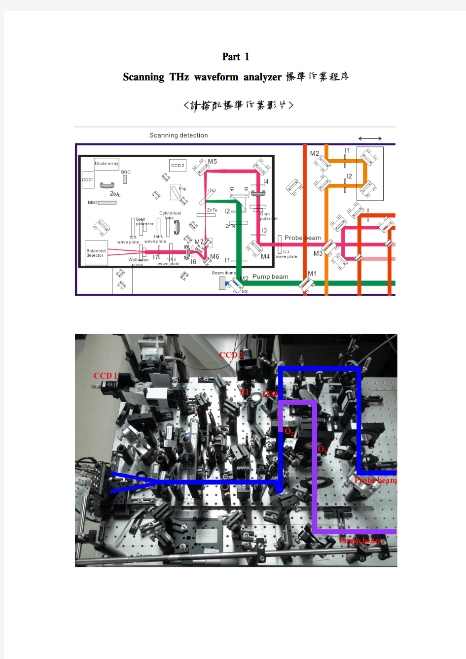 标准作业程序