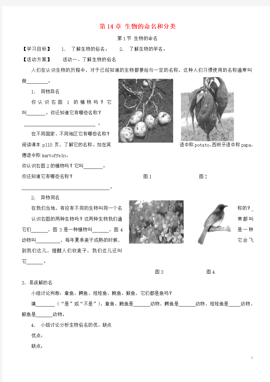 2020七年级生物下册 第14章 生物的命名和分类导学案(无答案)苏科版