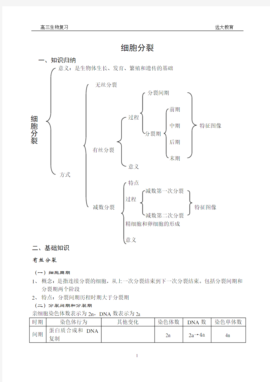 细胞分裂知识点总结