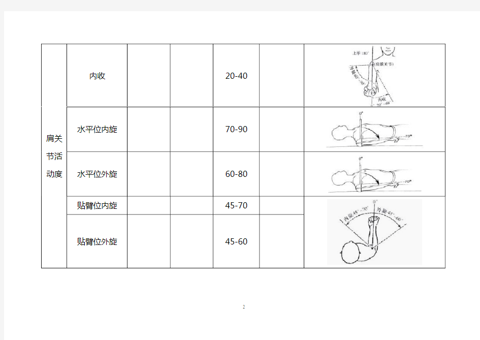 标准人体关节活动度测评量表