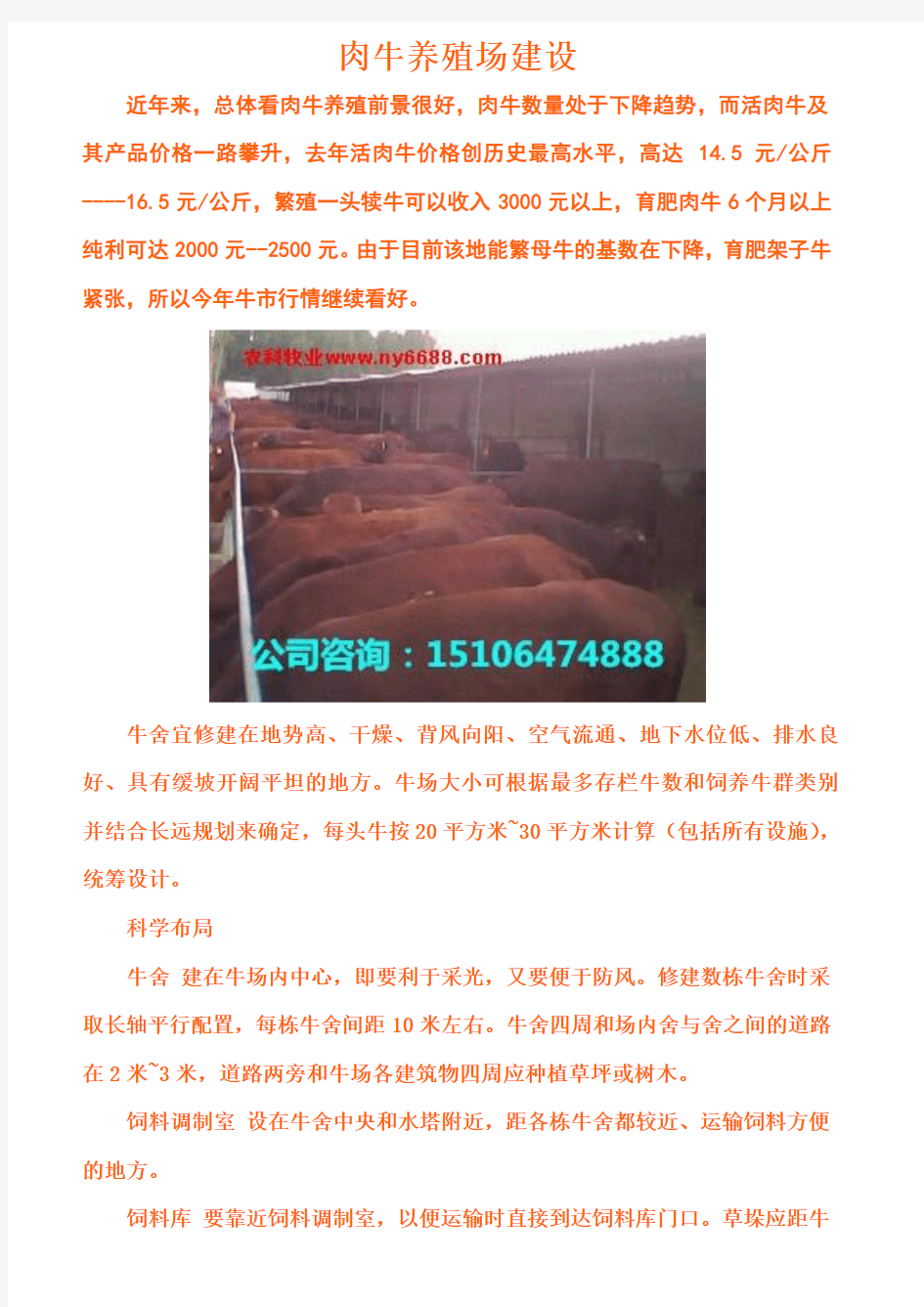 肉牛养殖场建设