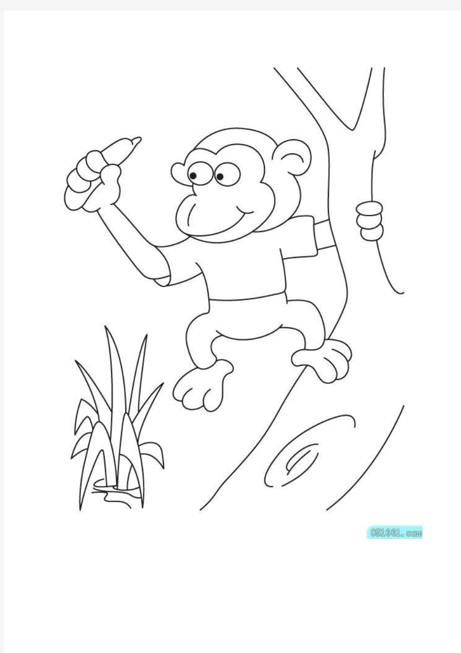 猴子填色、简笔画
