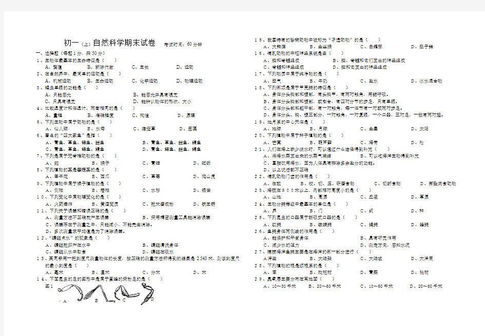 初一(上)自然科学期末试卷 考试时间60分钟.