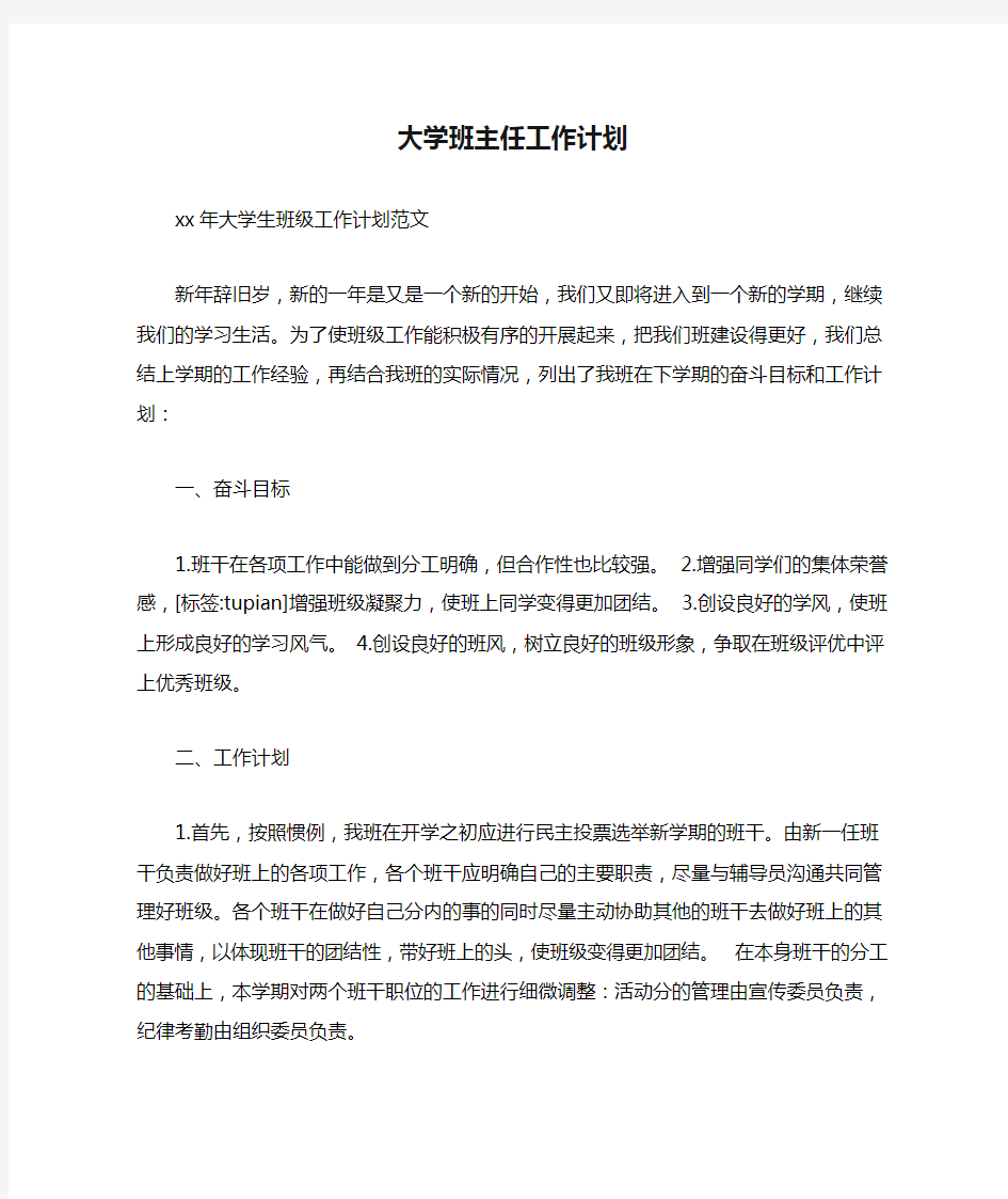 大学班主任工作计划