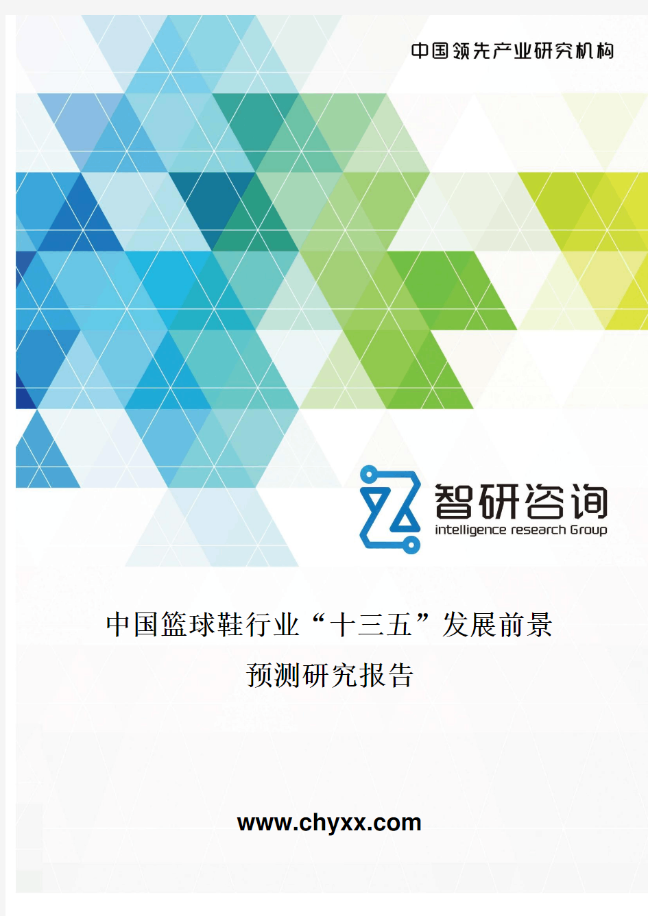 中国篮球鞋行业“十三五”发展前景预测研究报告
