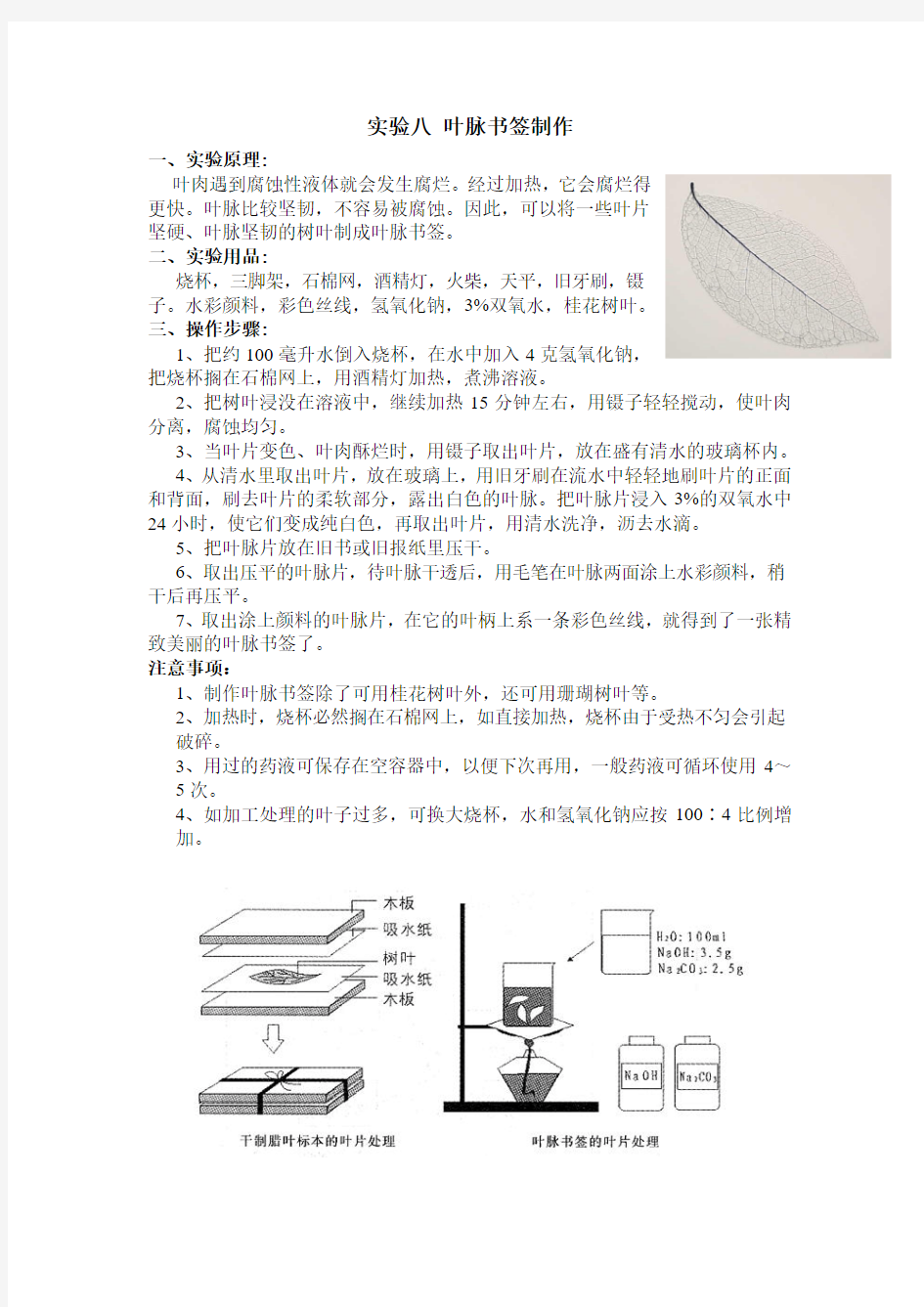 8叶脉书签制作