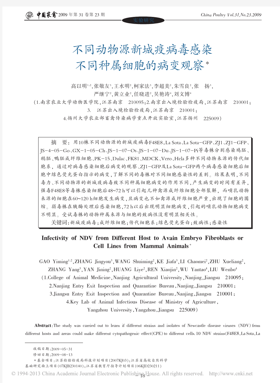 不同动物源新城疫病毒感染不同种属细胞的病变观察_高以明