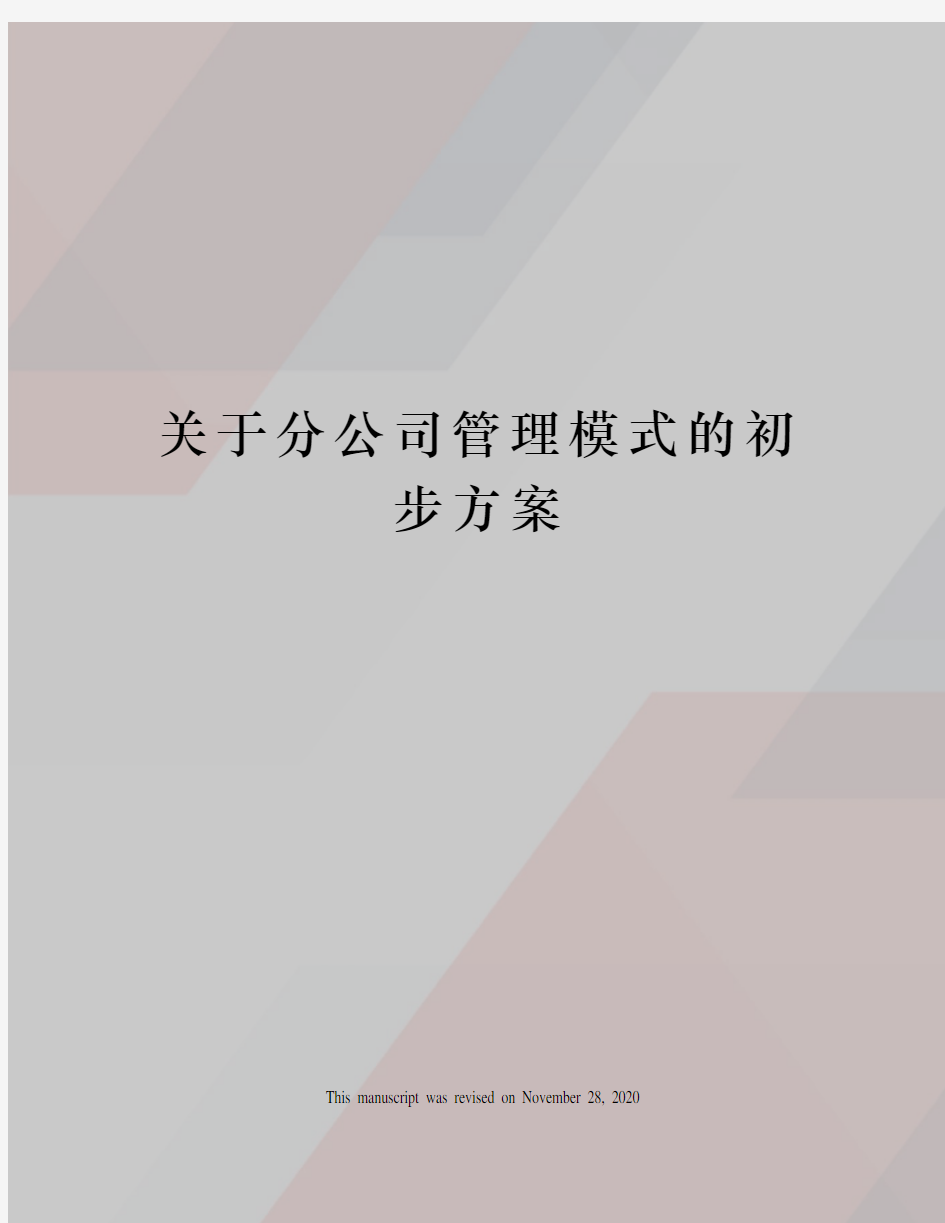 关于分公司管理模式的初步方案