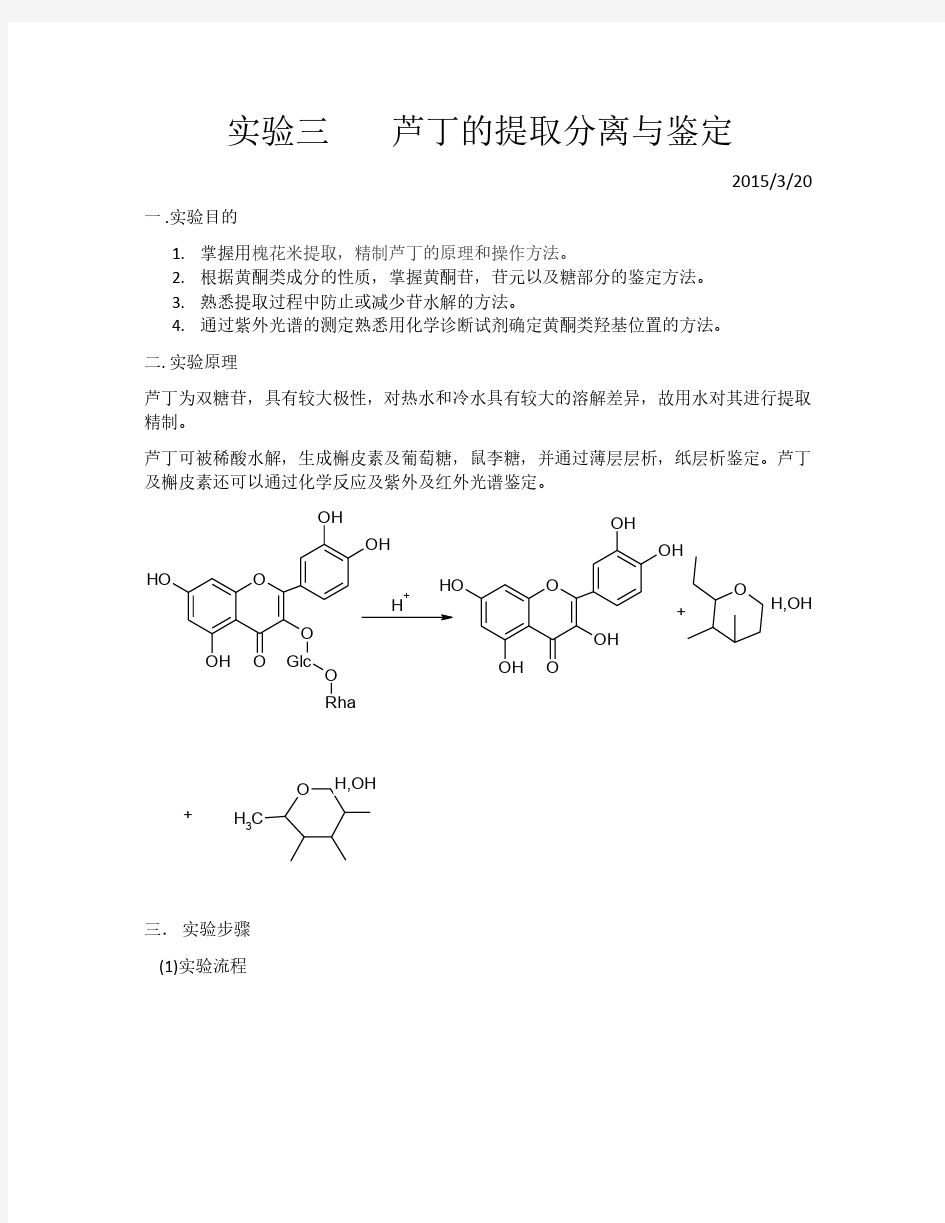 芦丁的提取与鉴定