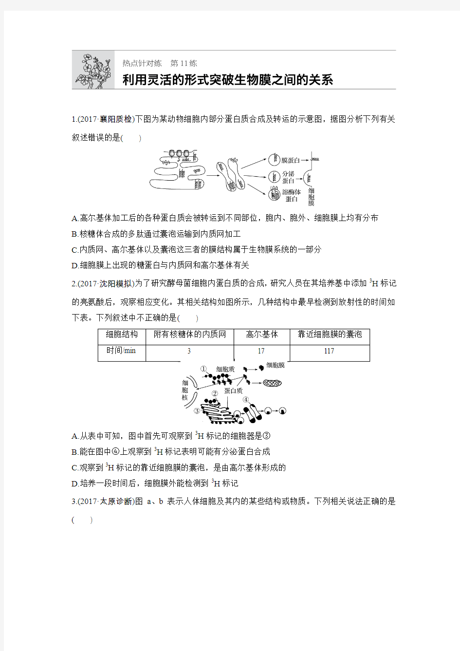 第11练