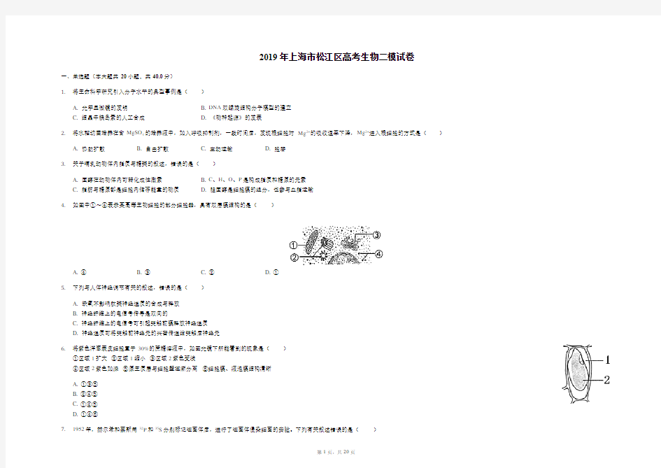 上海市松江区2019届高三4月模拟考质量监控(二模)生物试题(含解析)