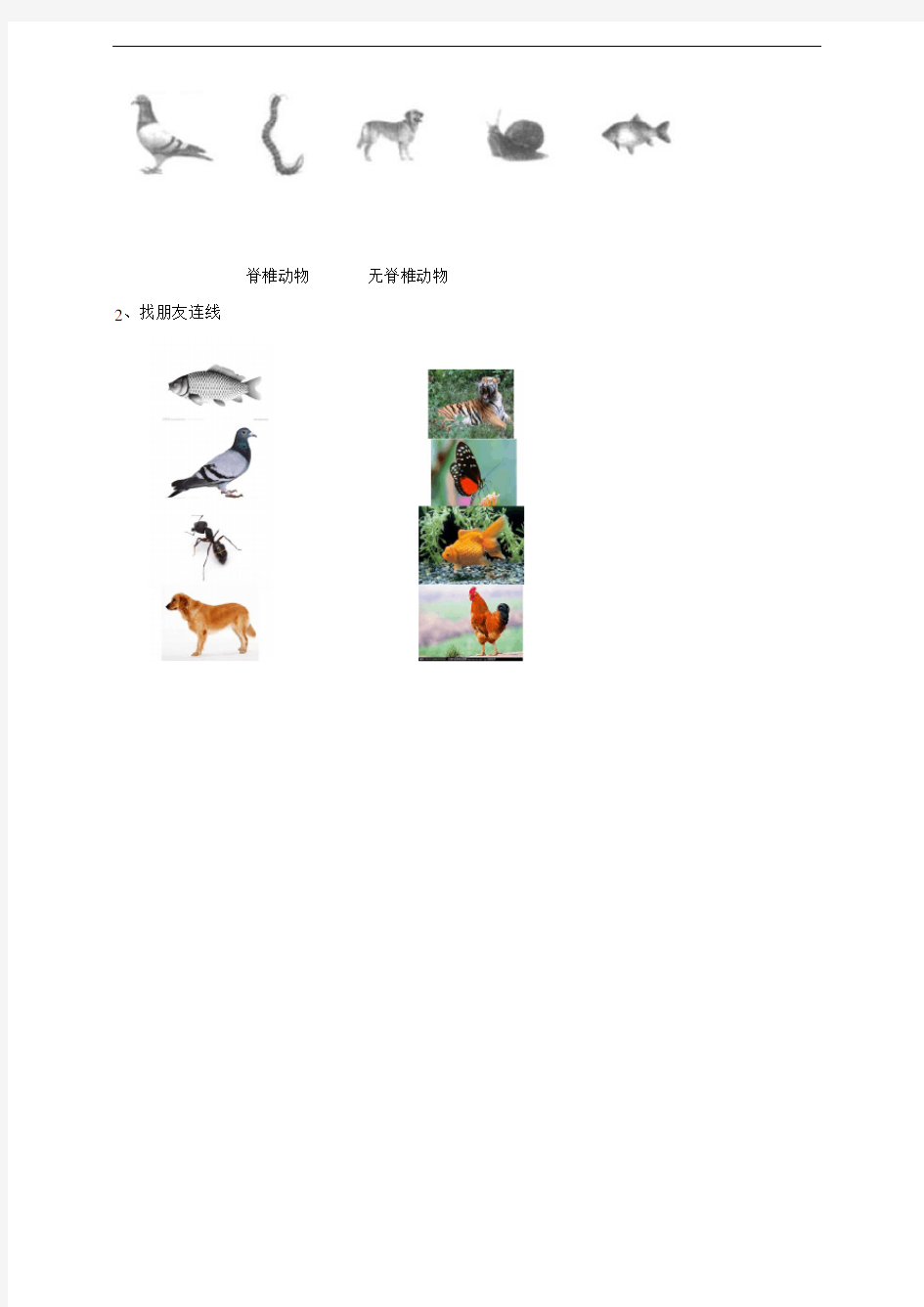 六年级上册科学试题 - 4.4《种类繁多的动物》  教科版 含答案
