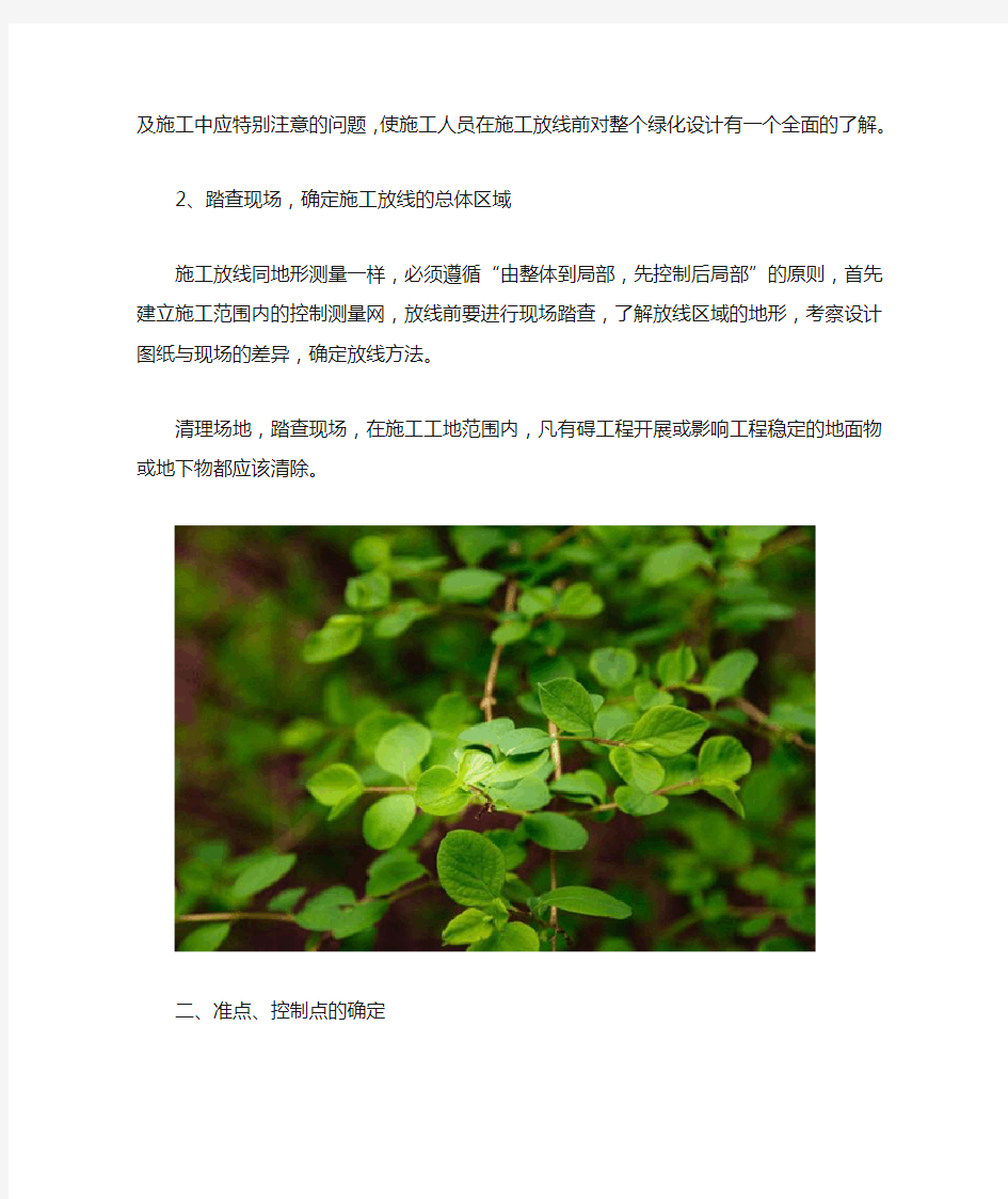 园林绿化种植的施工放线方法