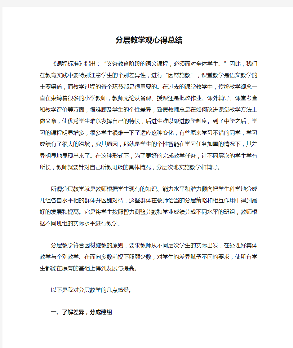 分层教学观心得总结