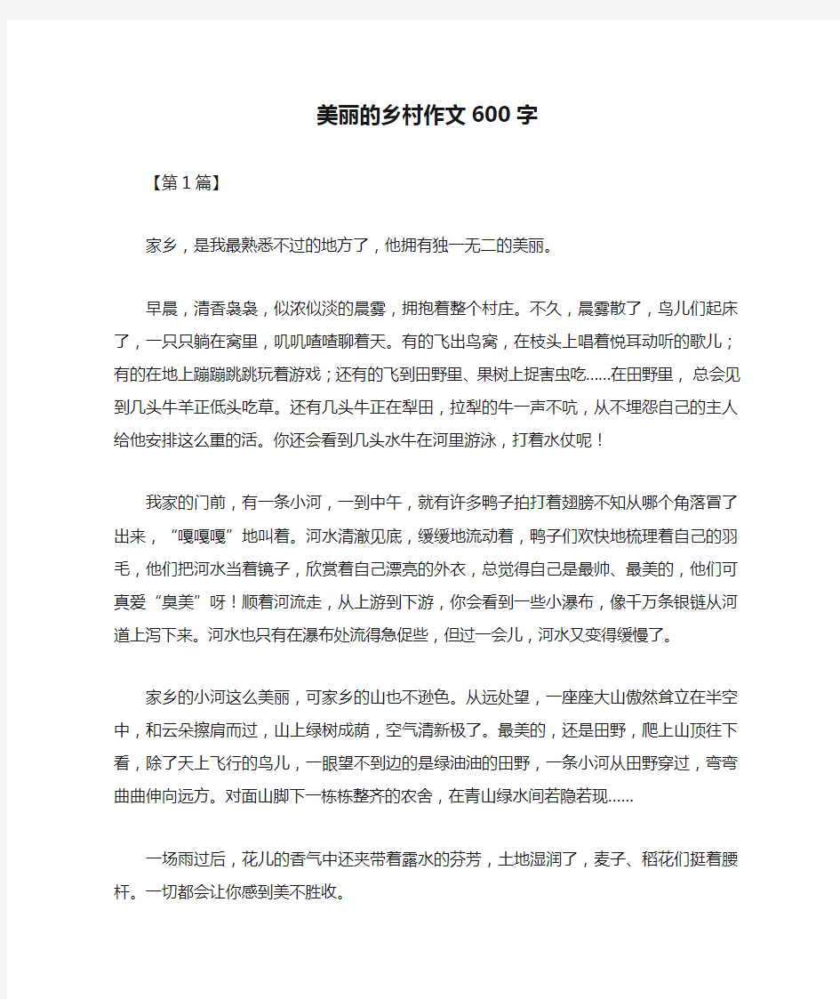 美丽的乡村作文600字