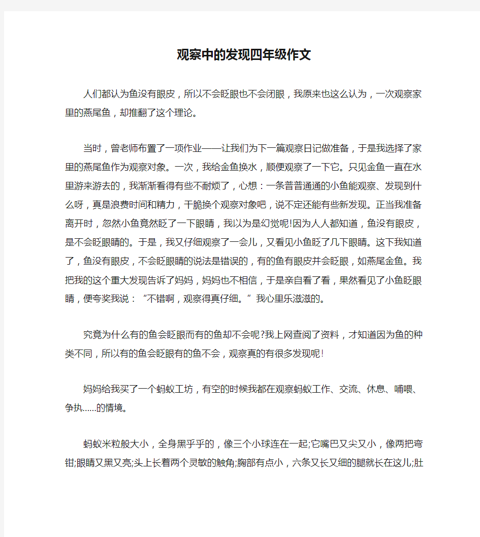 观察中的发现四年级作文