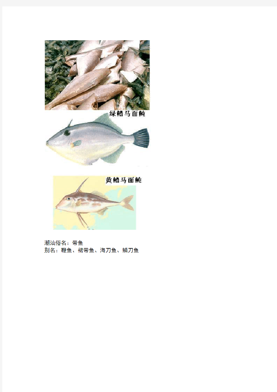 潮汕鱼的读音和分类